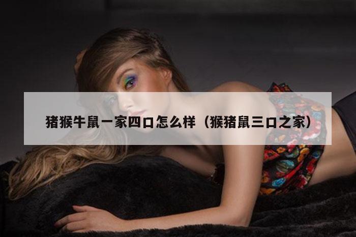 猪猴牛鼠一家四口怎么样(猴猪鼠三口之家)